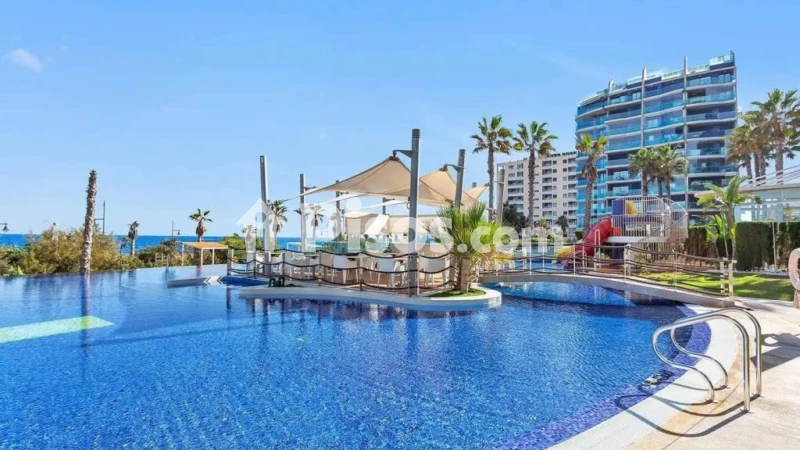 Pis – Torrevieja