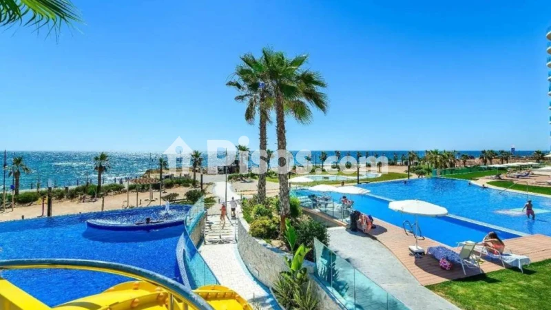 Pis – Torrevieja