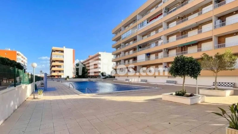 Pis – Torrevieja