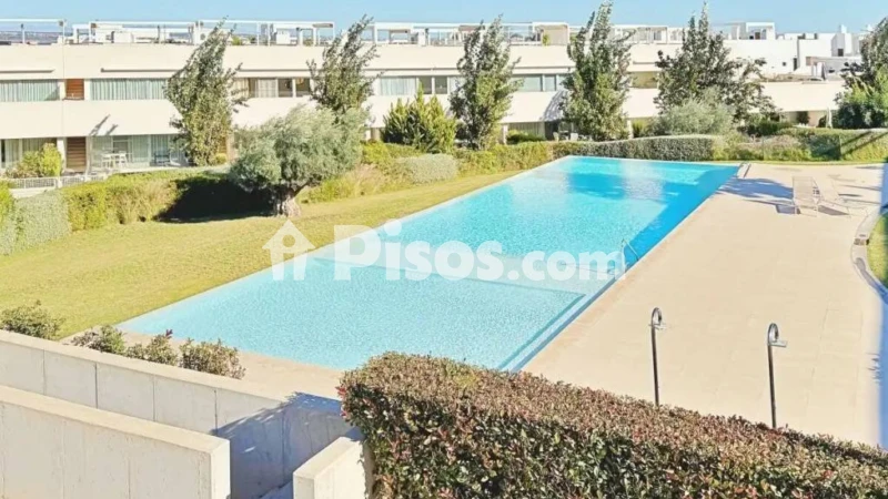 Pis – Torrevieja