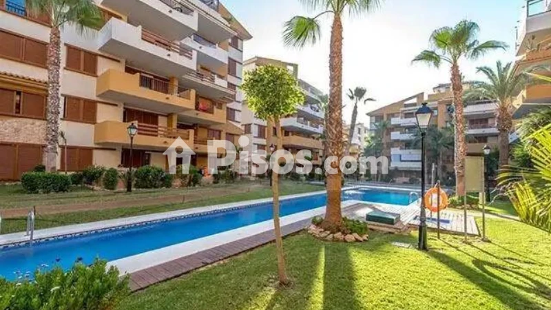 Pis – Torrevieja