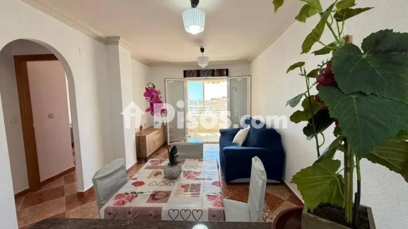 Piso – Torrevieja, Baleares