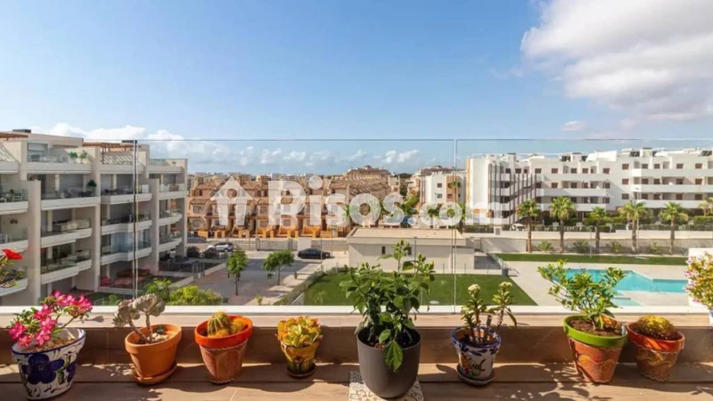 Piso – Orihuela