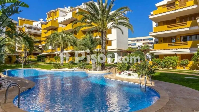 Pis – Torrevieja
