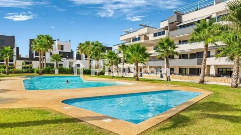 Pis – Orihuela