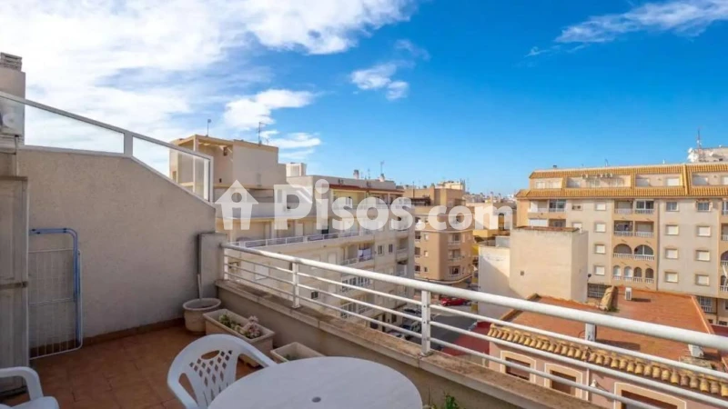 Pis – Torrevieja
