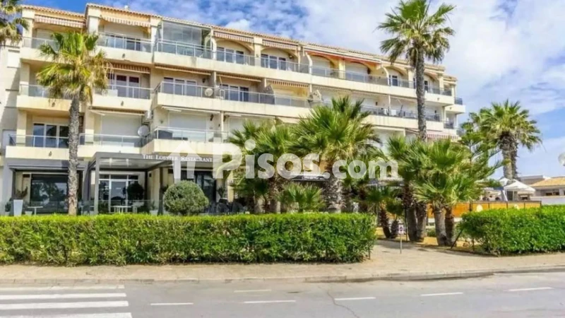 Piso – Orihuela