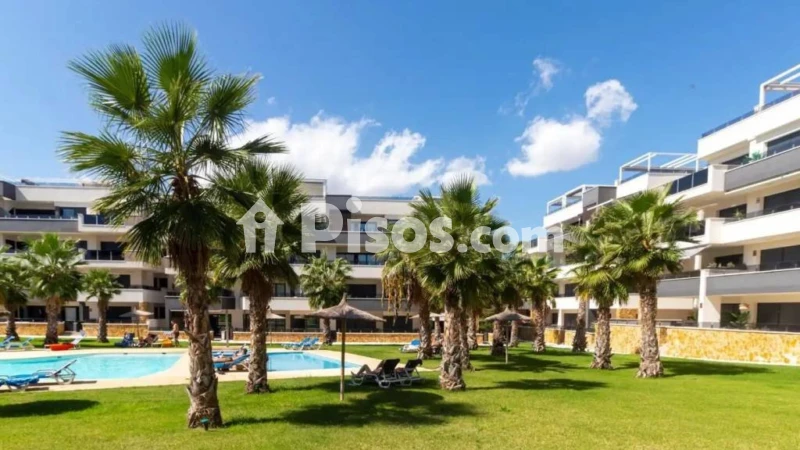 Piso – Orihuela