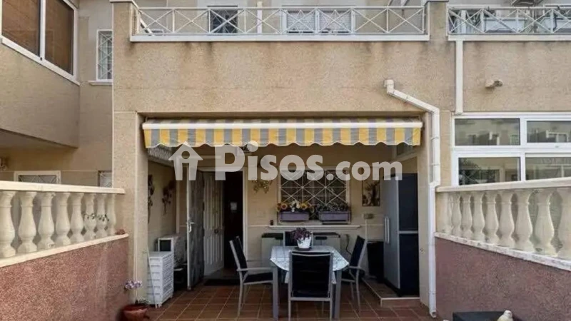 Pis – Orihuela
