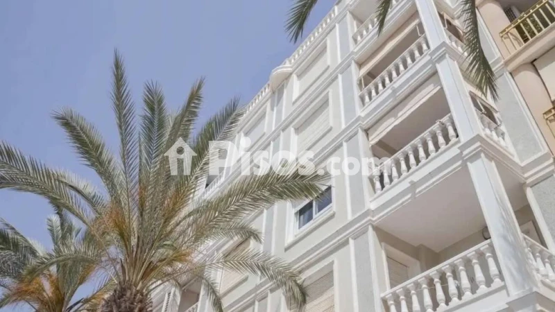 Pis – Torrevieja