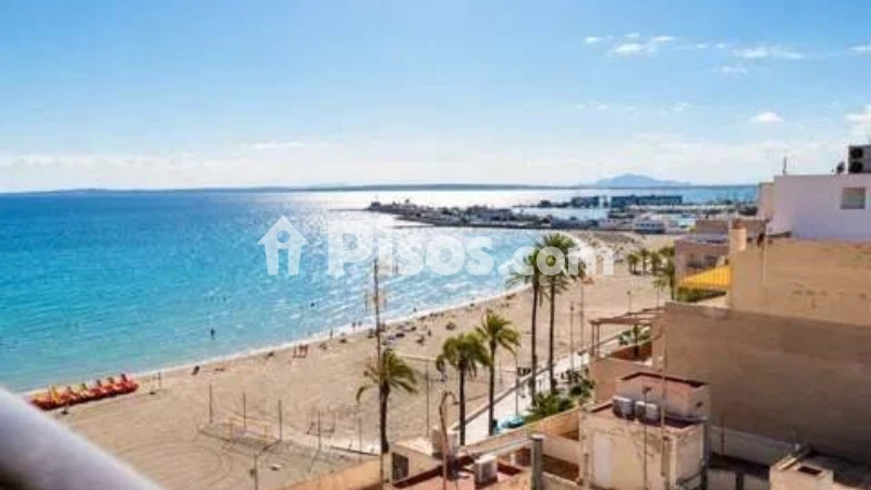 Pis – Santa Pola, el Baix Vinalopó