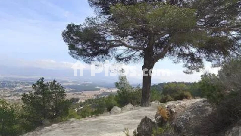 Namas, 1 m², sklypas 1338605 m²