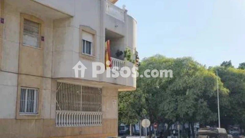 Pis – Torrevieja