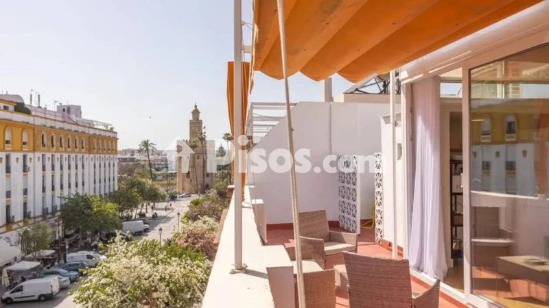 Fotografía del inmueble reportado: 1.590 €/mes — Sevilla, Sevilla