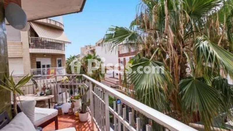 Pis – Torrevieja