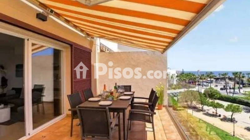 Pis – Orihuela