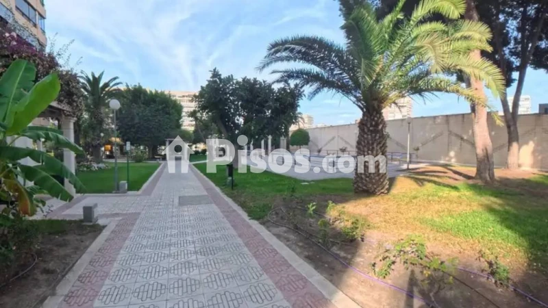 Piso – Alicante - Alacant