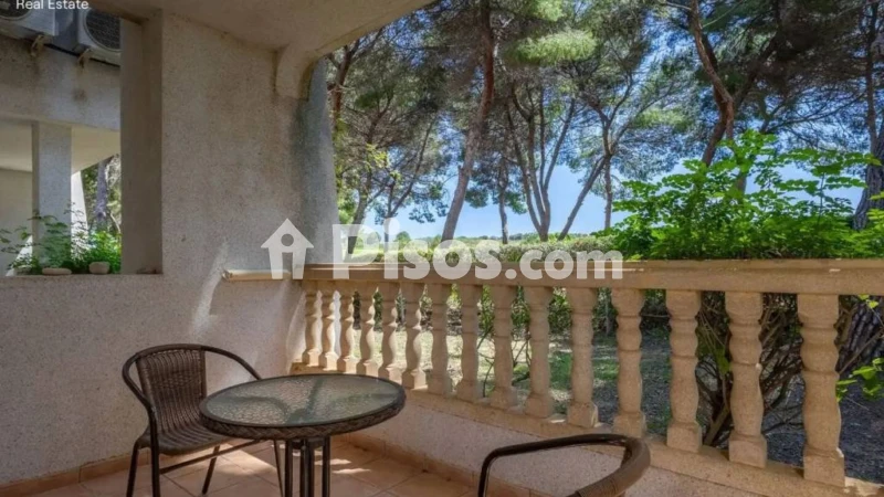Piso – Orihuela