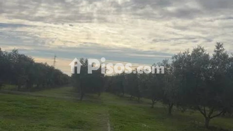 Fotografía del inmueble reportado: 1.300 €/mes — Málaga, Málaga