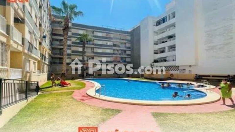 Pis – Torrevieja