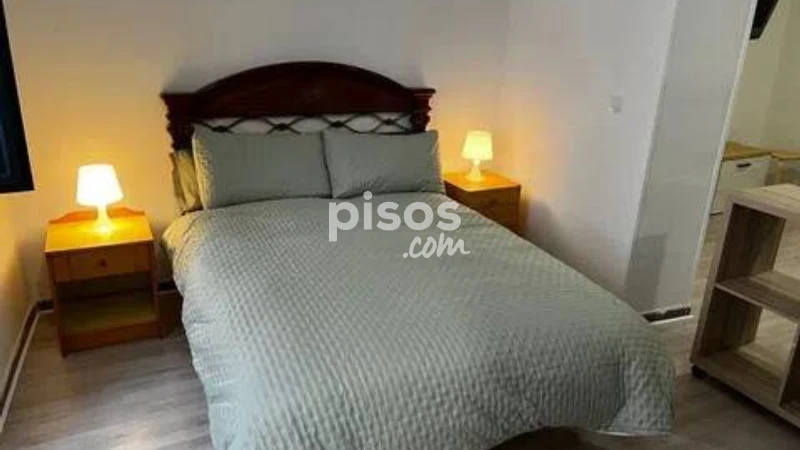 Piso en alquiler en Calle de Bretón de los Herreros, cerca de Calle de Santa Engracia