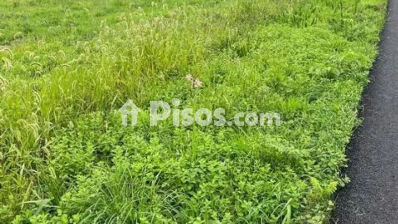 Terreno en venta en Paderne
