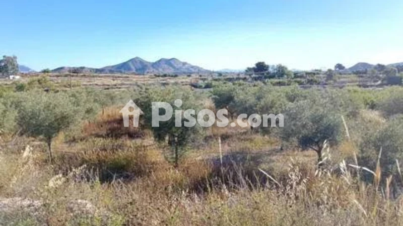 Terreno en venta en El Rebolledo