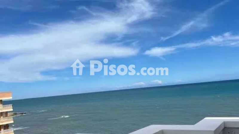 Pis – Torrevieja