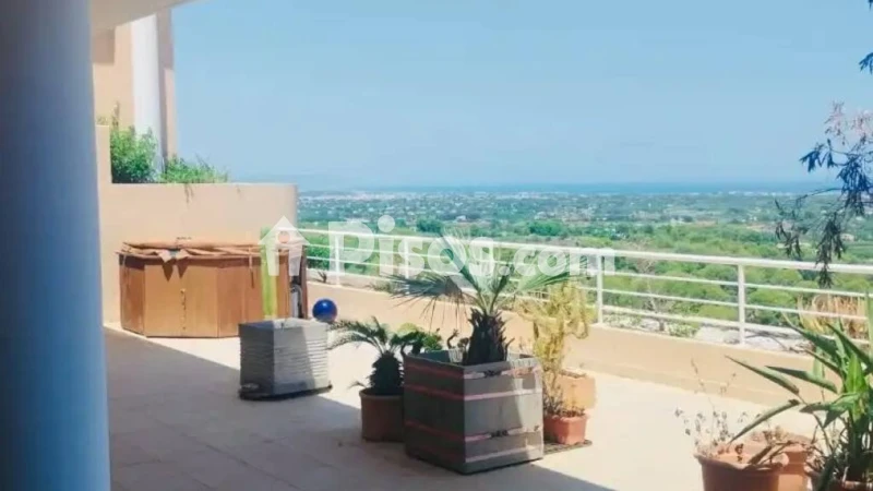 Piso