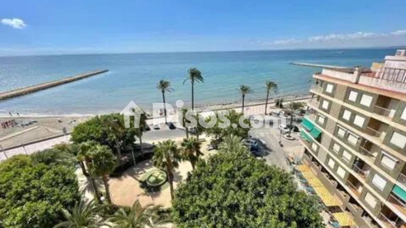 Pis – Santa Pola