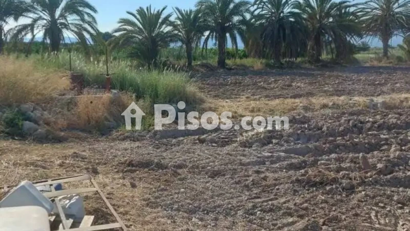 Terreno en venta en Catral