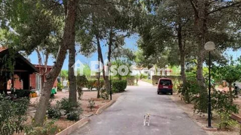 Piso – Dolores