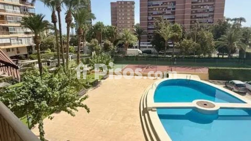 Fotografía del inmueble reportado: 1.250 €/mes — Alicante, Alicante