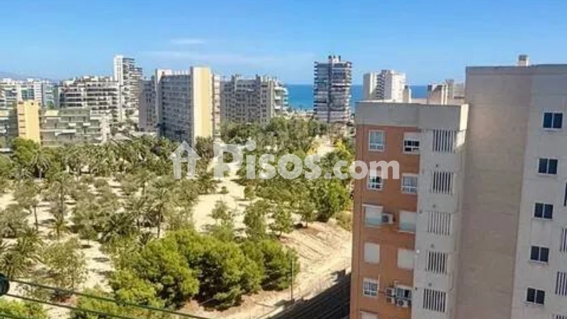 Fotografía del inmueble reportado: 1.200 €/mes — Alicante, Alicante