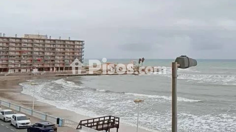 Pis – Torrevieja