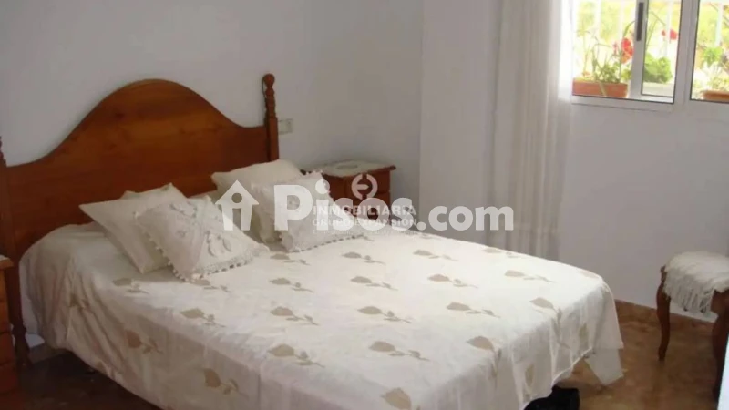 Pis – Elche/Elx, Pataes, el Baix Vinalopó