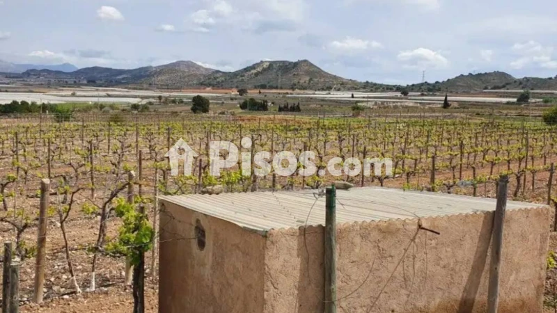 Terreno en venta en Monforte del Cid