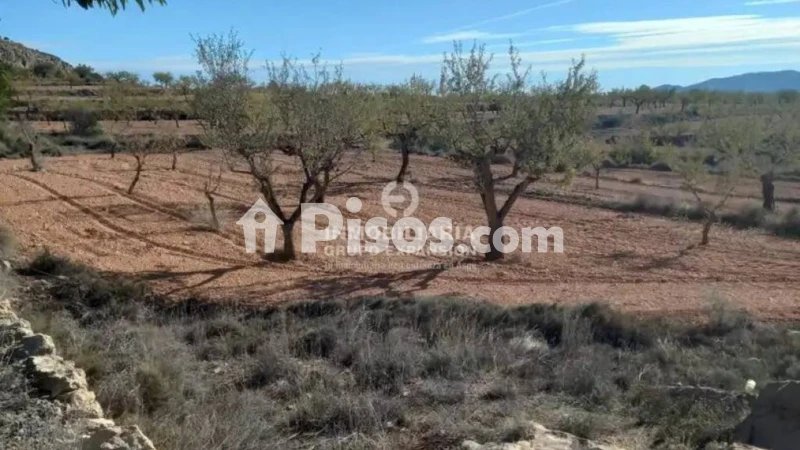 Terreno en venta en La Romana