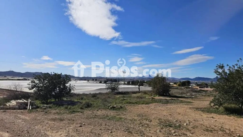 Terreno en venta en Monforte del Cid