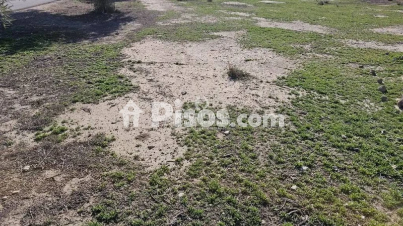 Terreno en venta en Monforte del Cid