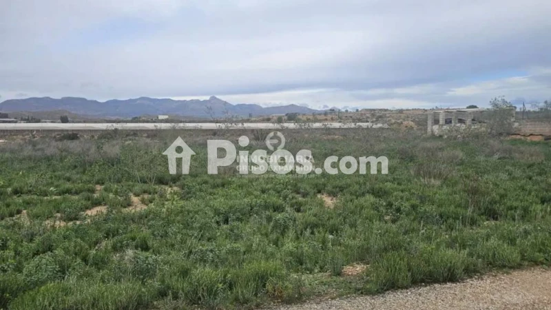 Terreno en venta en Monforte del Cid
