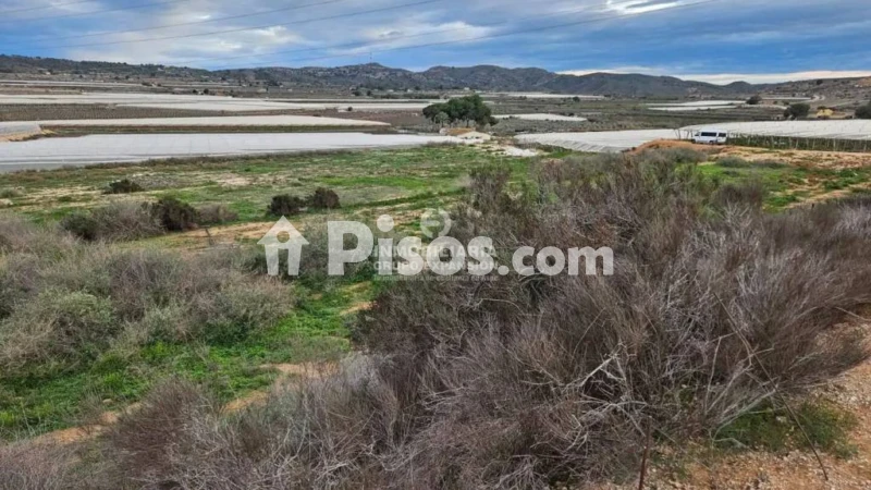 Terreno en venta en Monforte del Cid