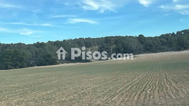 Terreno en venta en Hellín