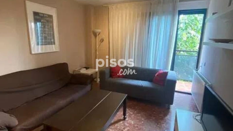 Piso en alquiler en Avenida Giorgeta