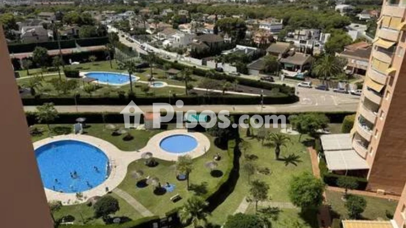 Piso – Orihuela, Mil Palmeras