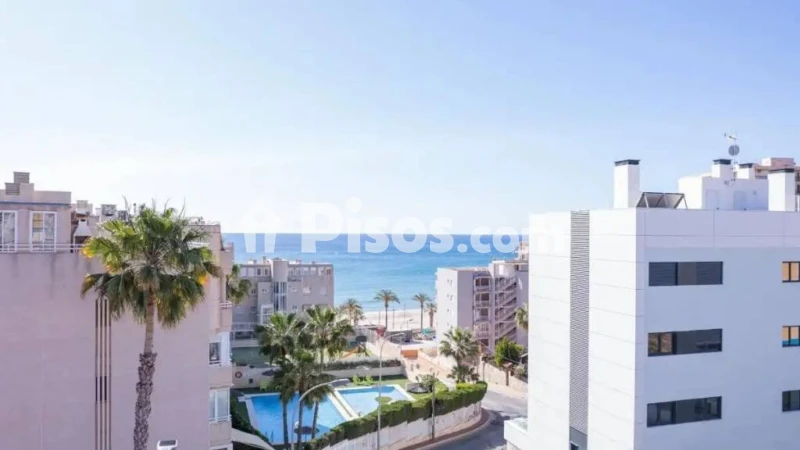 Apartment in el Campello, Platja de Mutxavista