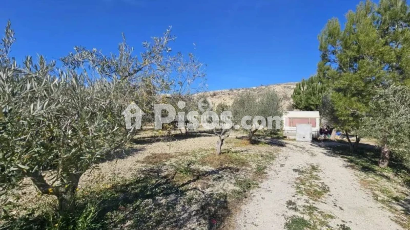 Terreno en venta en Aspe