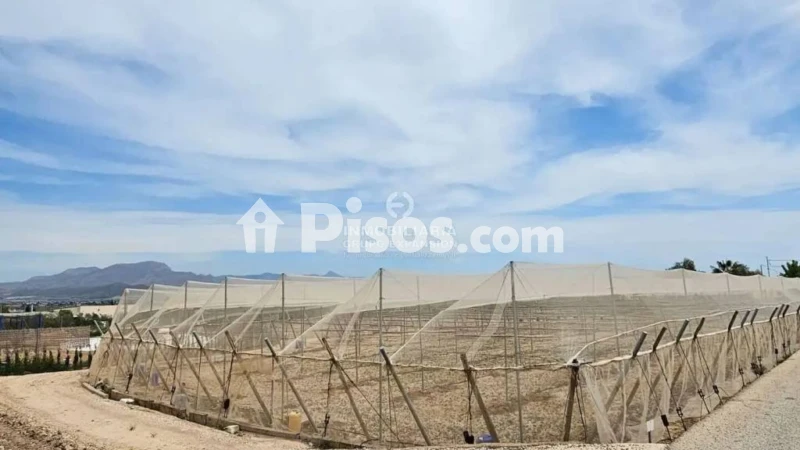 Terreno en venta en Aspe