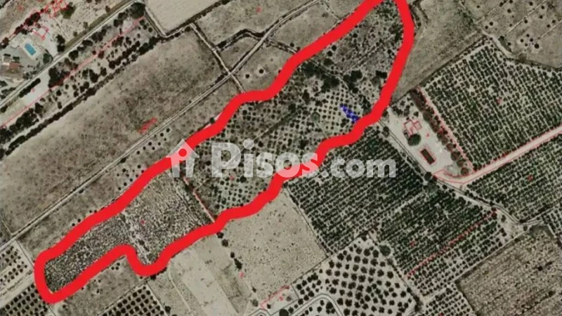 Terreno en venta en Crevillent