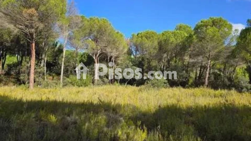 Terreno en venta en Pedanías y Barrios Rurales